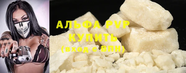 гашик Арсеньев