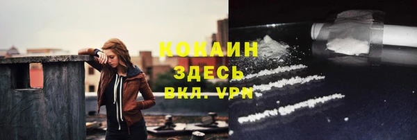 гашик Арсеньев